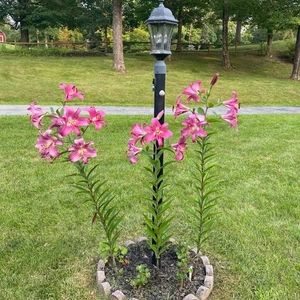 Meet your Posher, Staci